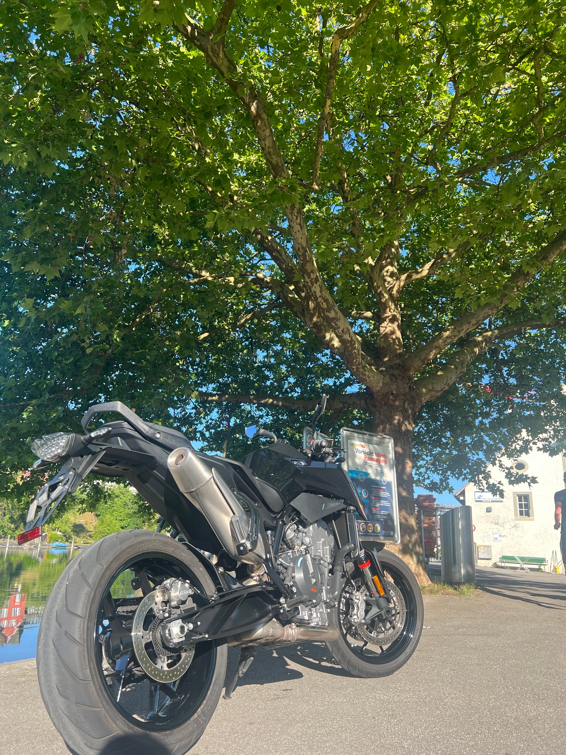 KTM 890 Duke-image-1
