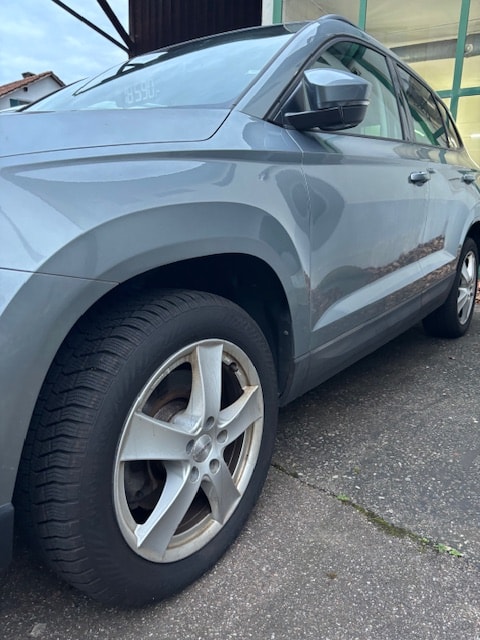 SKODA Karoq 1.0 TSI Ambition DSG ,115 PS-image-6