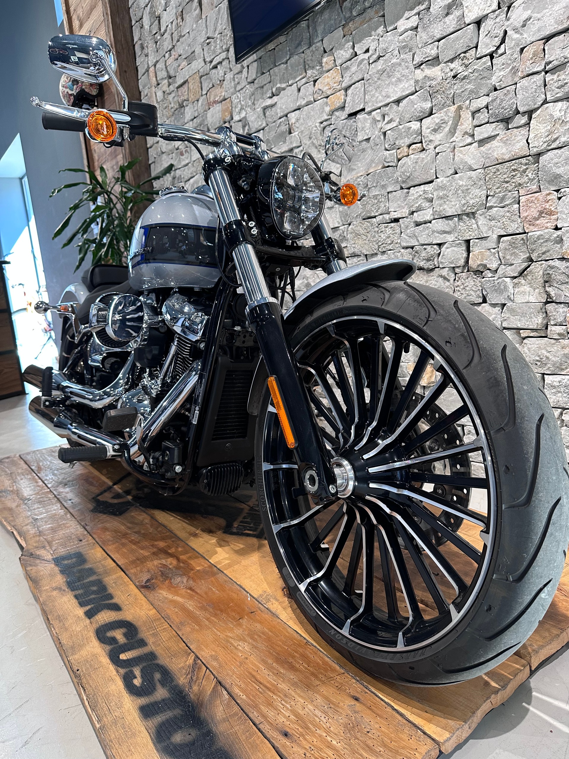 HARLEY-DAVIDSON FXBR Breakout 117-image-3