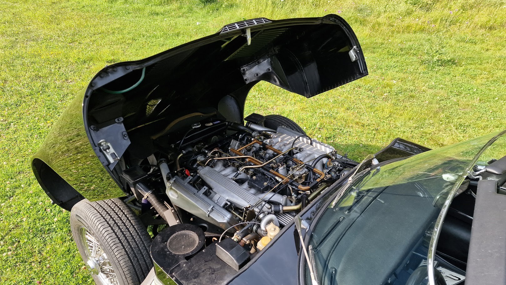 JAGUAR E-Type Serie 3 V12-image-4