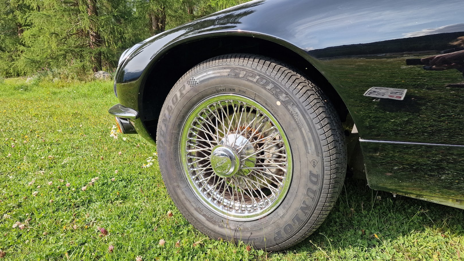 JAGUAR E-Type Serie 3 V12-image-8