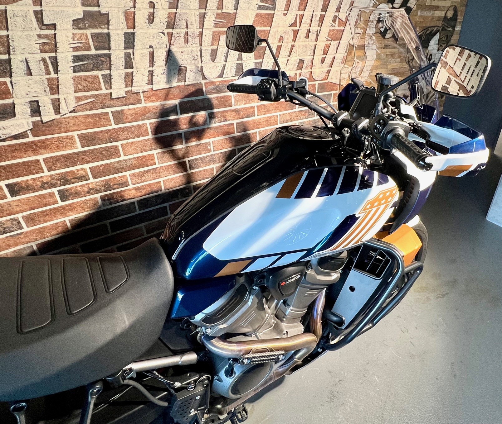 HARLEY-DAVIDSON RA Pan America 1250 Special-image-10