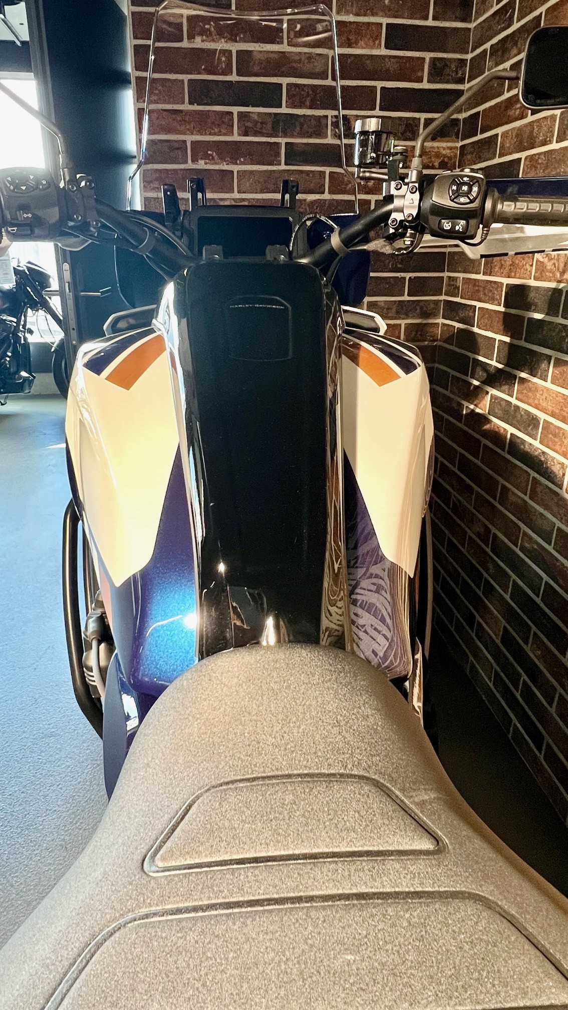 HARLEY-DAVIDSON RA Pan America 1250 Special-image-5