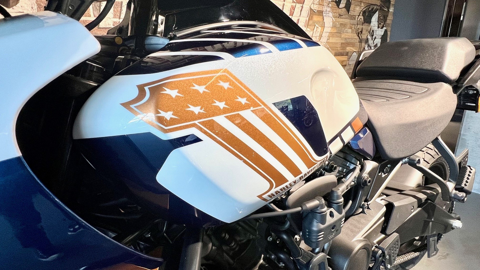 HARLEY-DAVIDSON RA Pan America 1250 Special-image-3