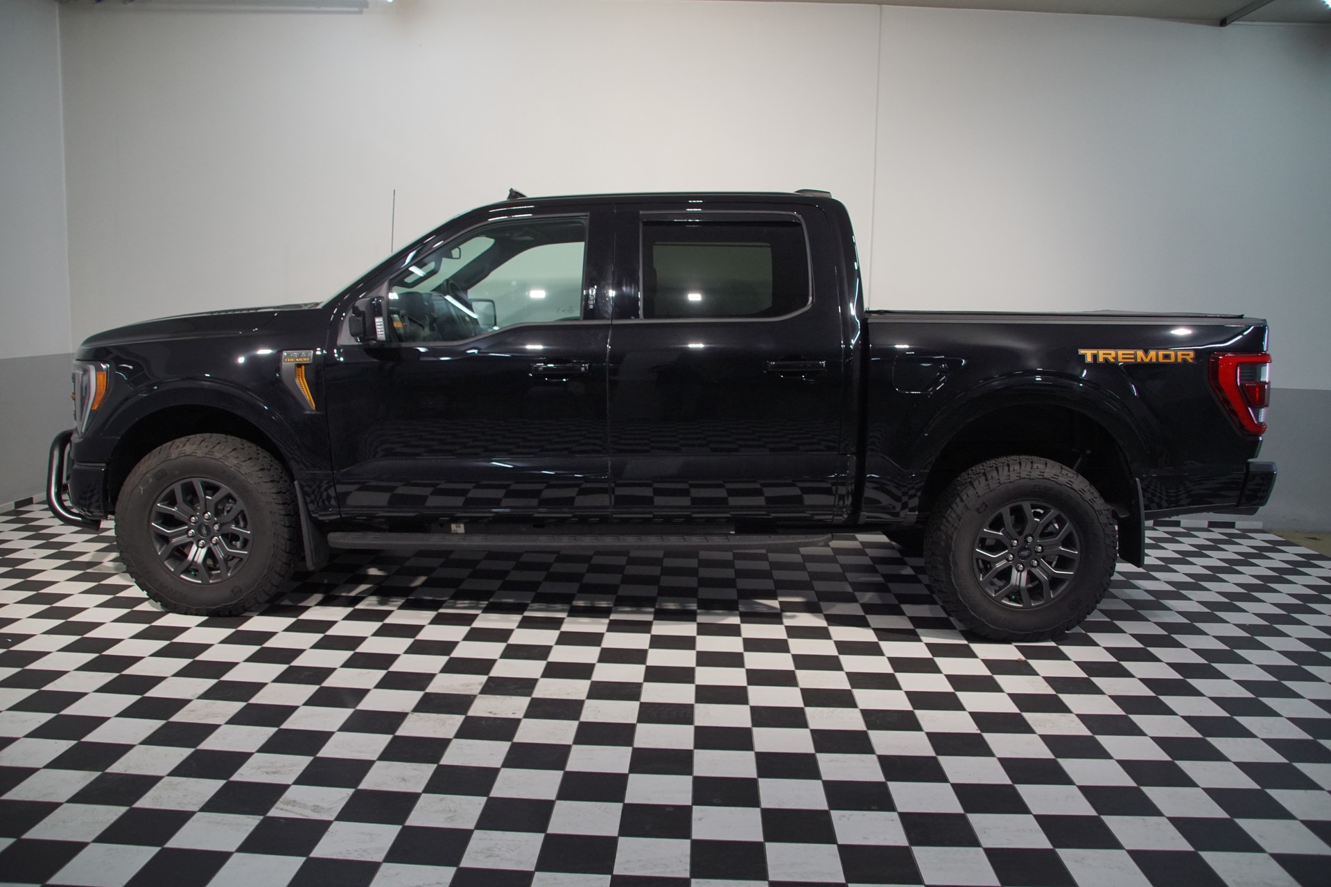 FORD F150 3.5L V6 TREMOR Super Crew-image-12