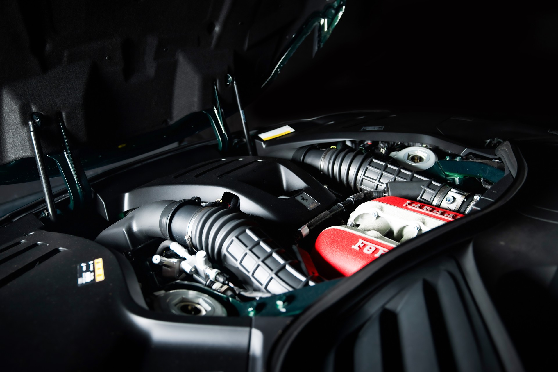 FERRARI Purosangue 6.5 V12 in Verde Zeltweg-image-26
