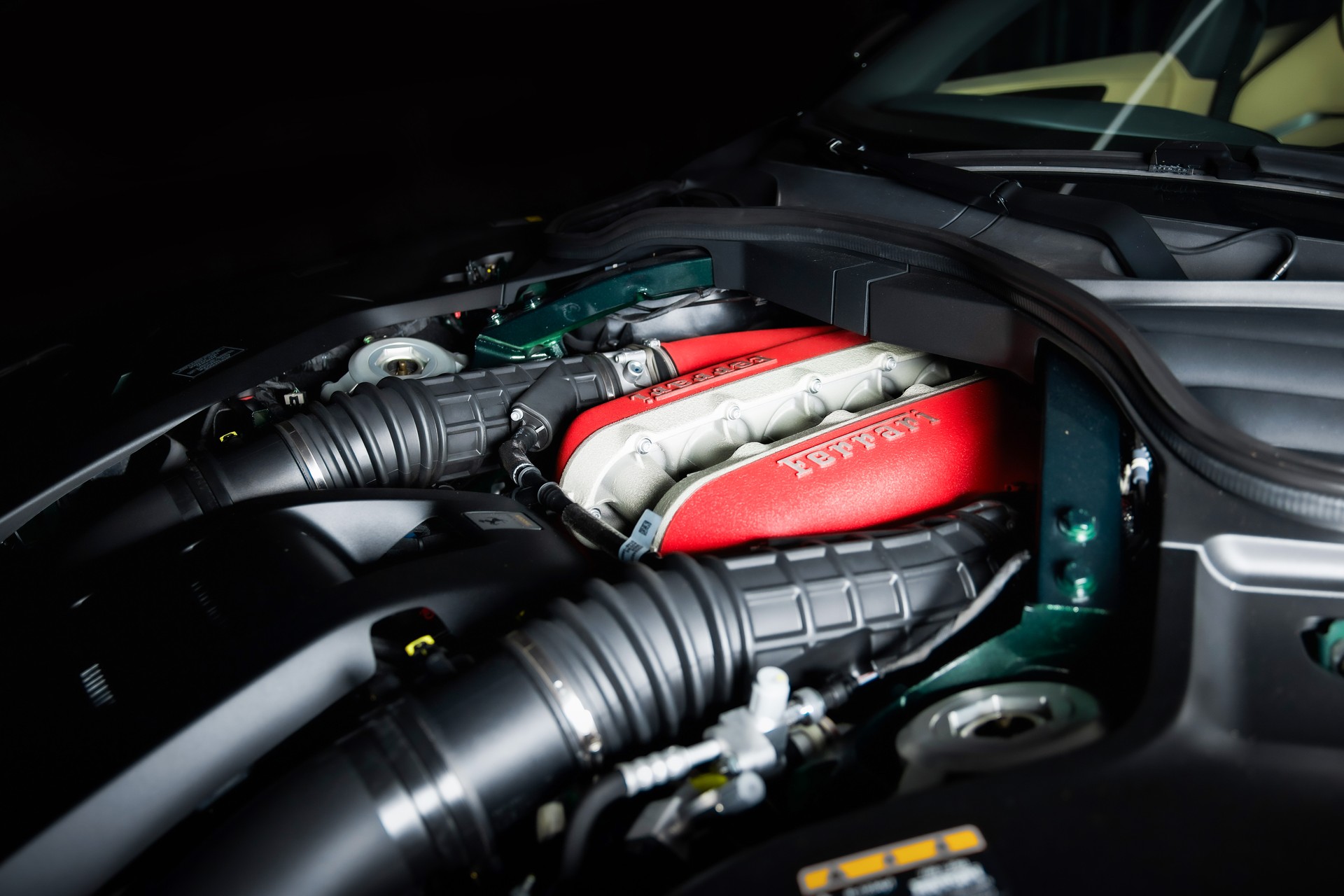 FERRARI Purosangue 6.5 V12 in Verde Zeltweg-image-25