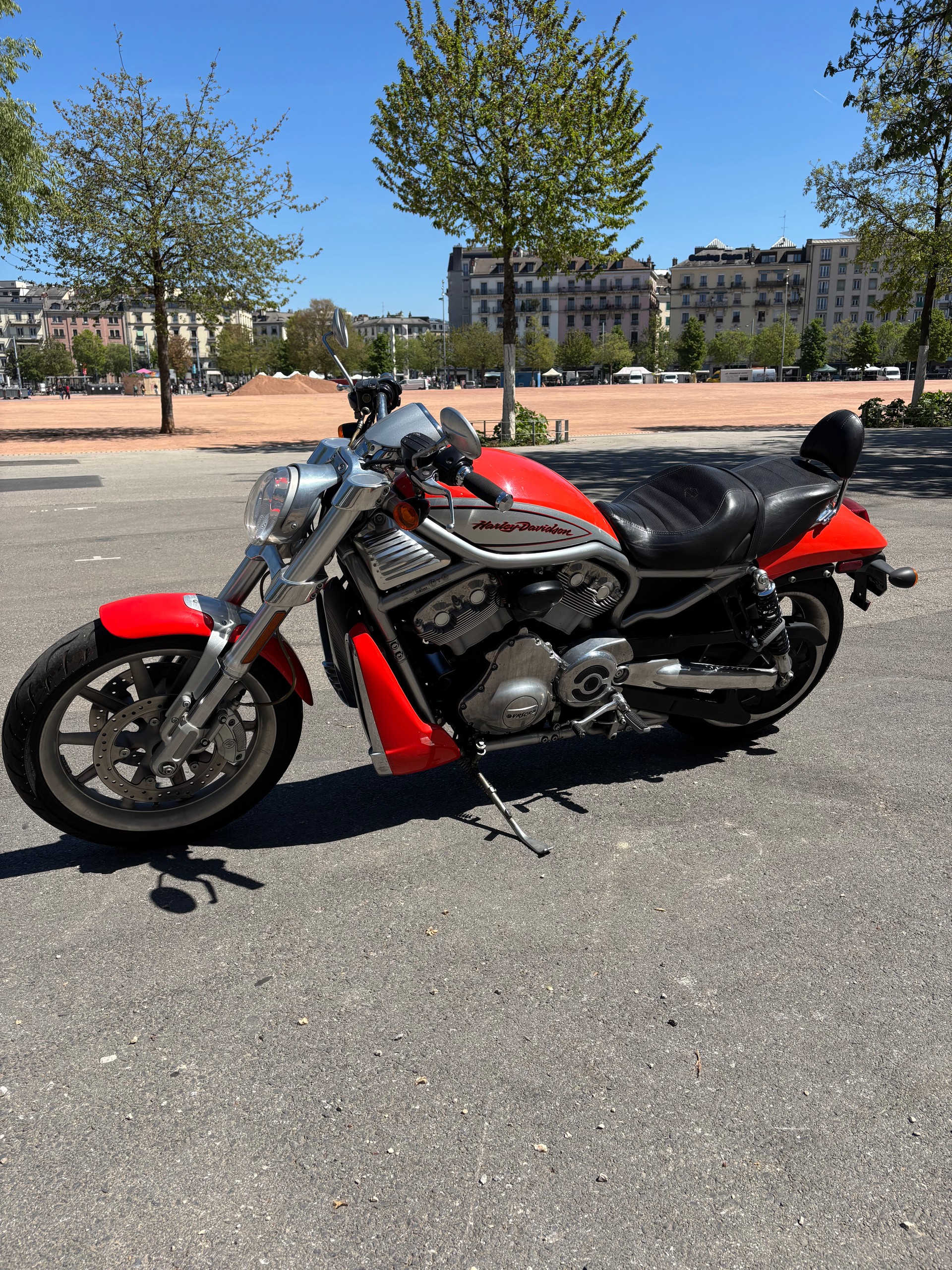 HARLEY-DAVIDSON VRSCR Street Rod-image-3