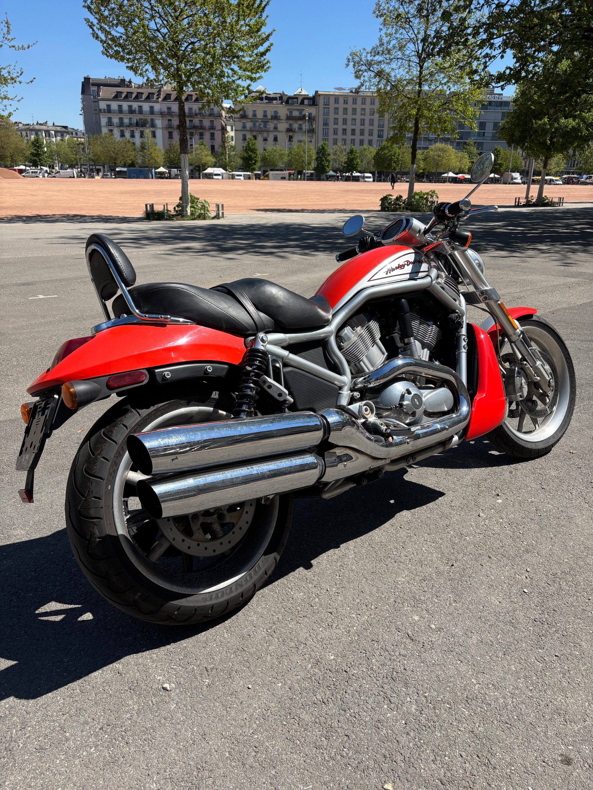 HARLEY-DAVIDSON VRSCR Street Rod-image-1