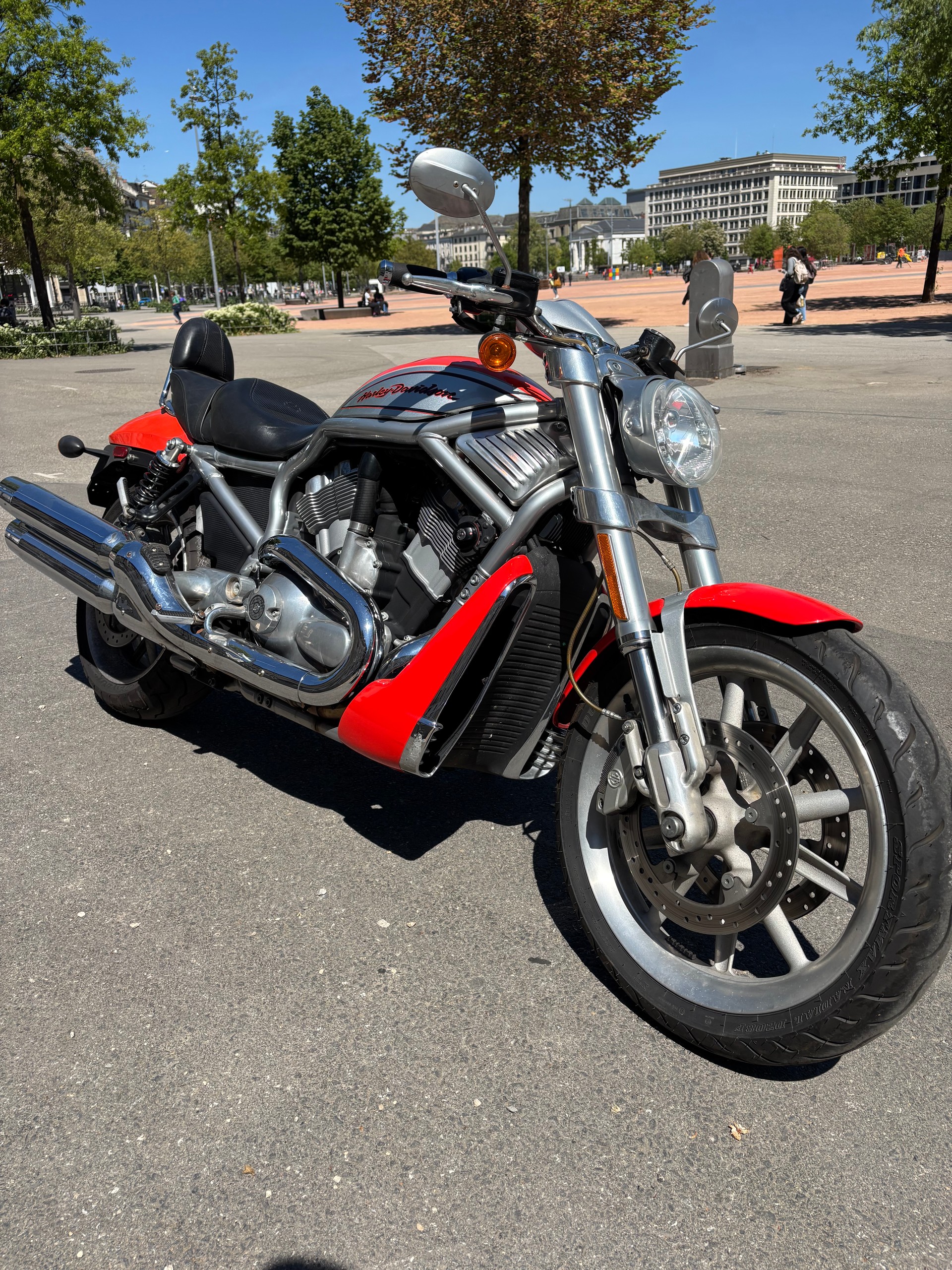 HARLEY-DAVIDSON VRSCR Street Rod-image-0