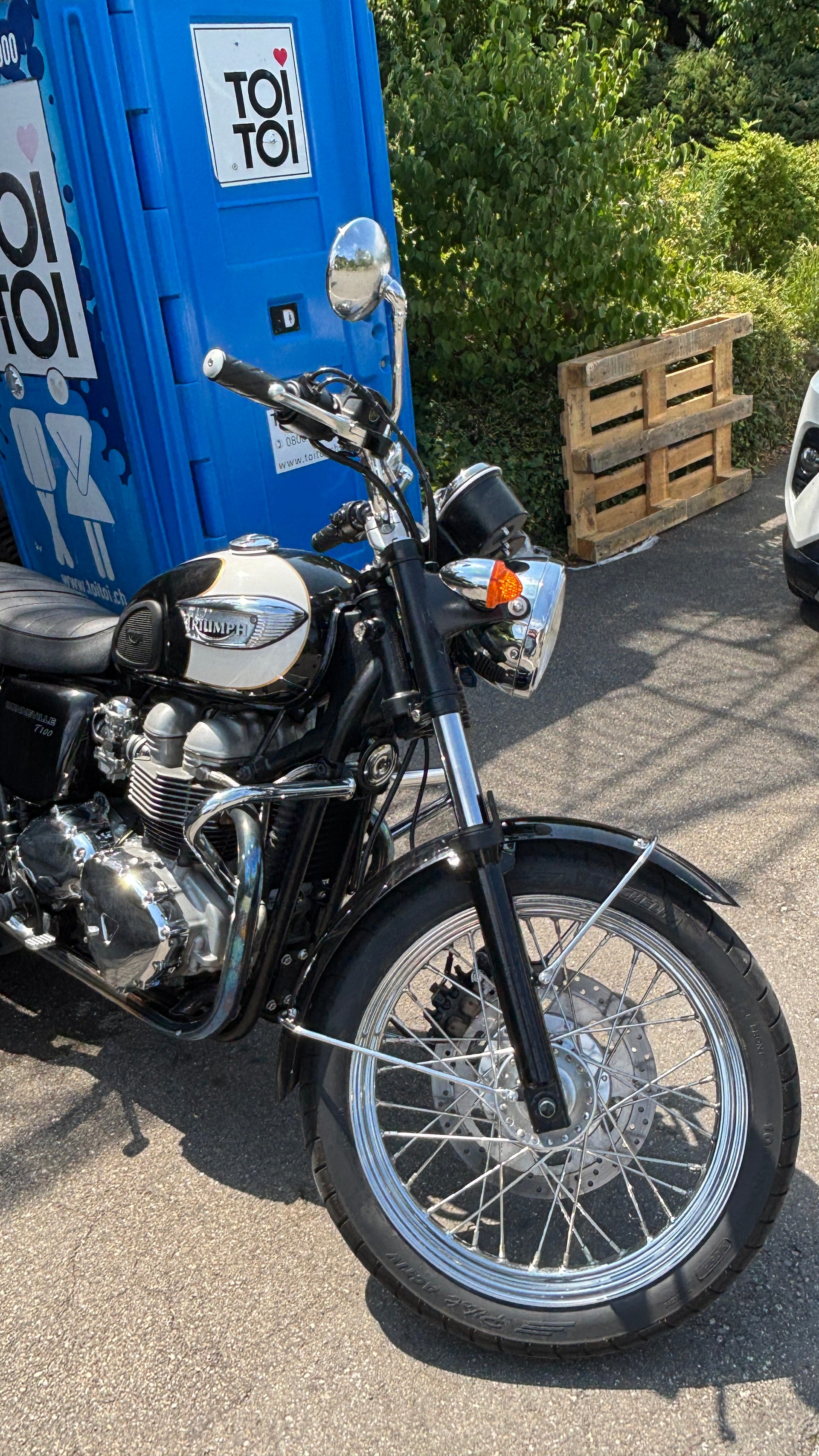 TRIUMPH Bonneville 900 T100-image-5