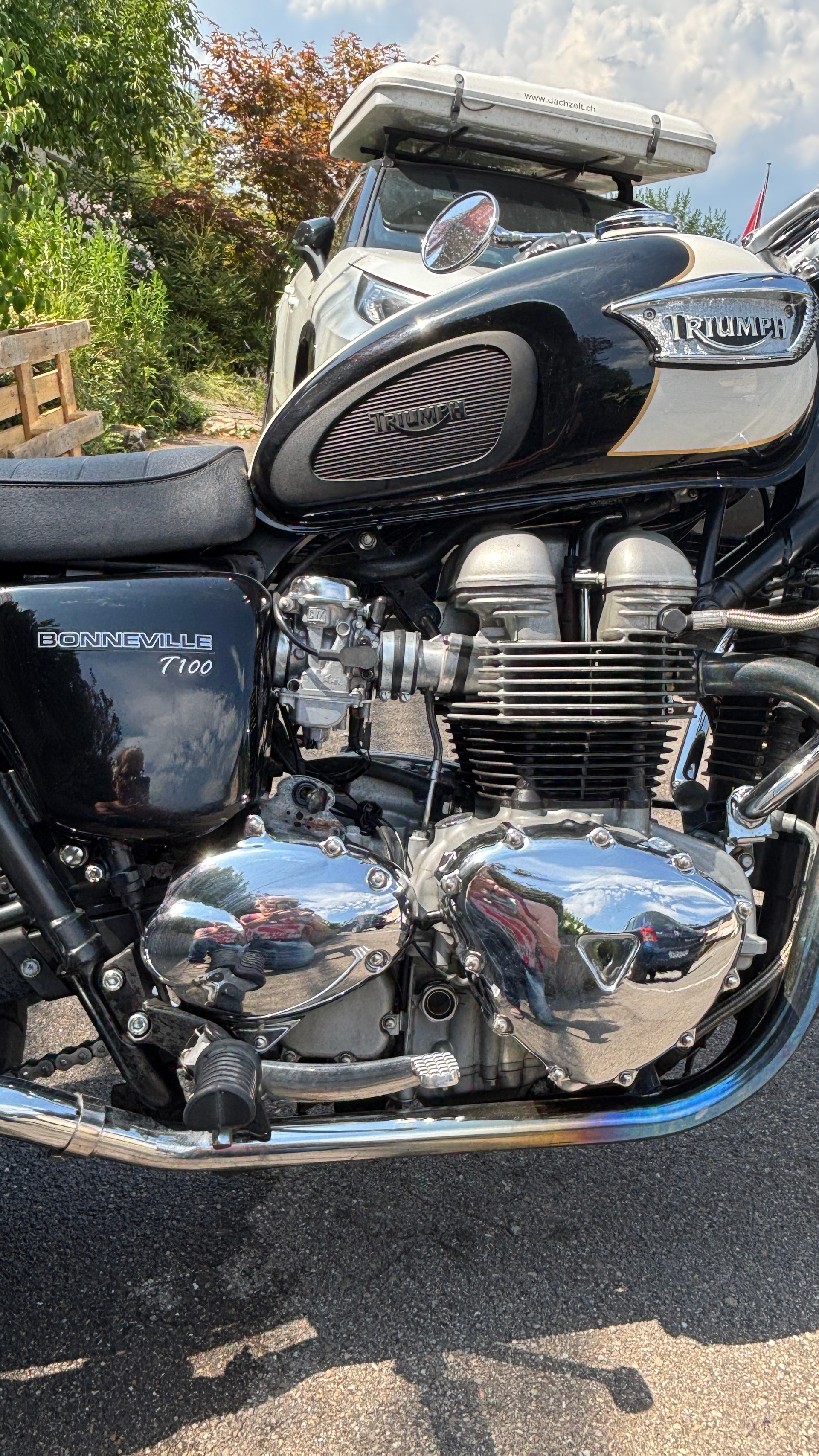 TRIUMPH Bonneville 900 T100-image-6