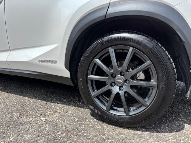 LEXUS NX 300h Impression Automatic-image-6