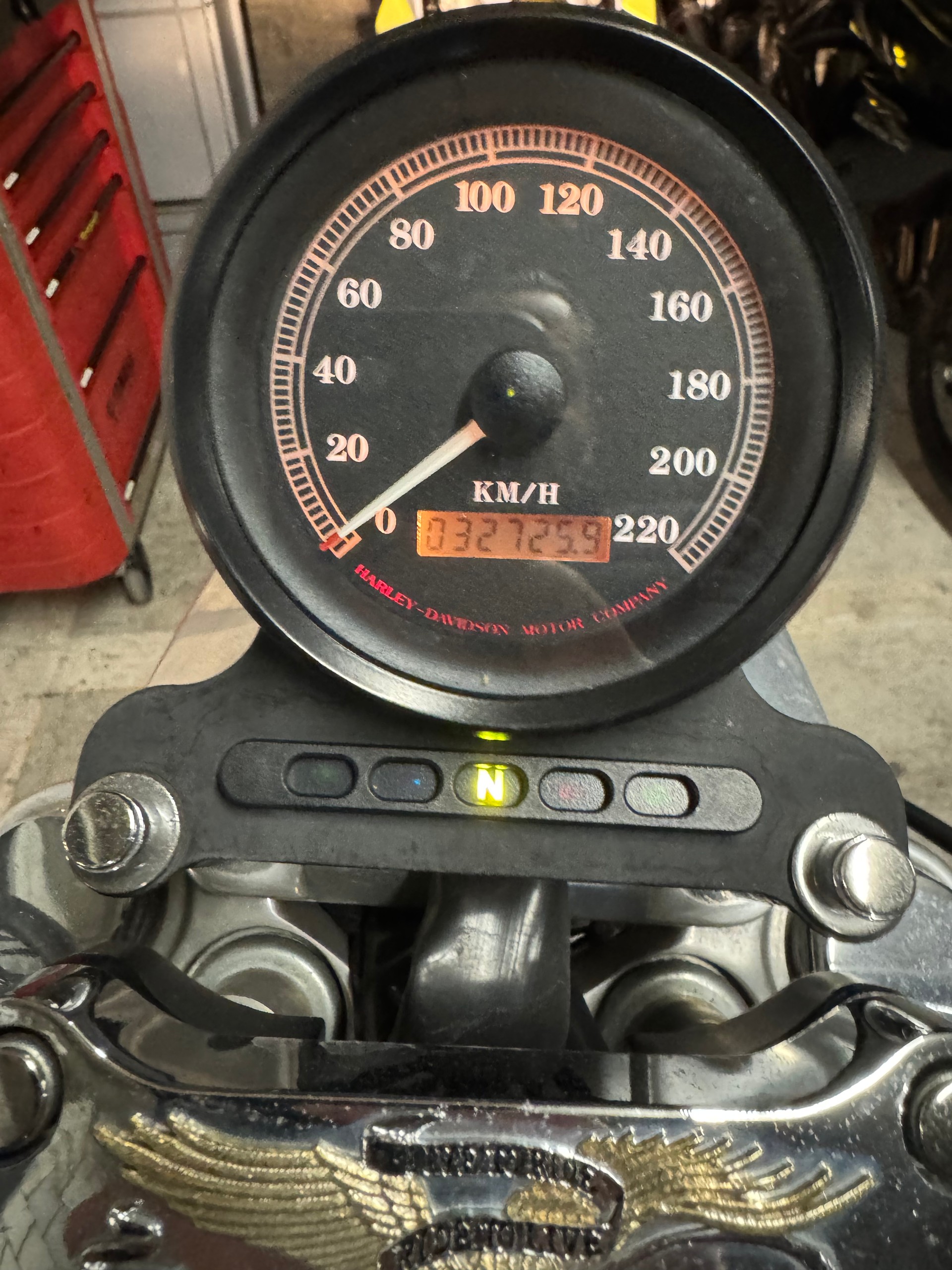 HARLEY-DAVIDSON XL 883 STD Sportster-image-7