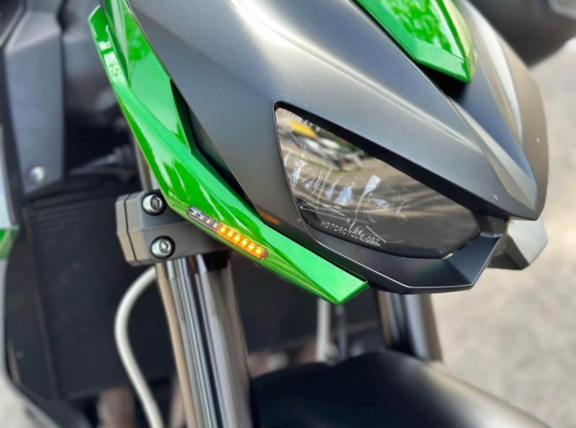 KAWASAKI Z 1000 R Edition ABS-image-5