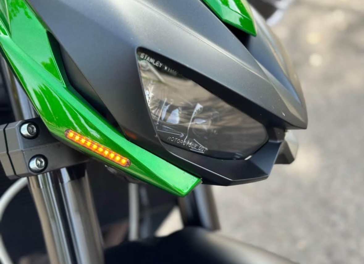KAWASAKI Z 1000 R Edition ABS-image-6