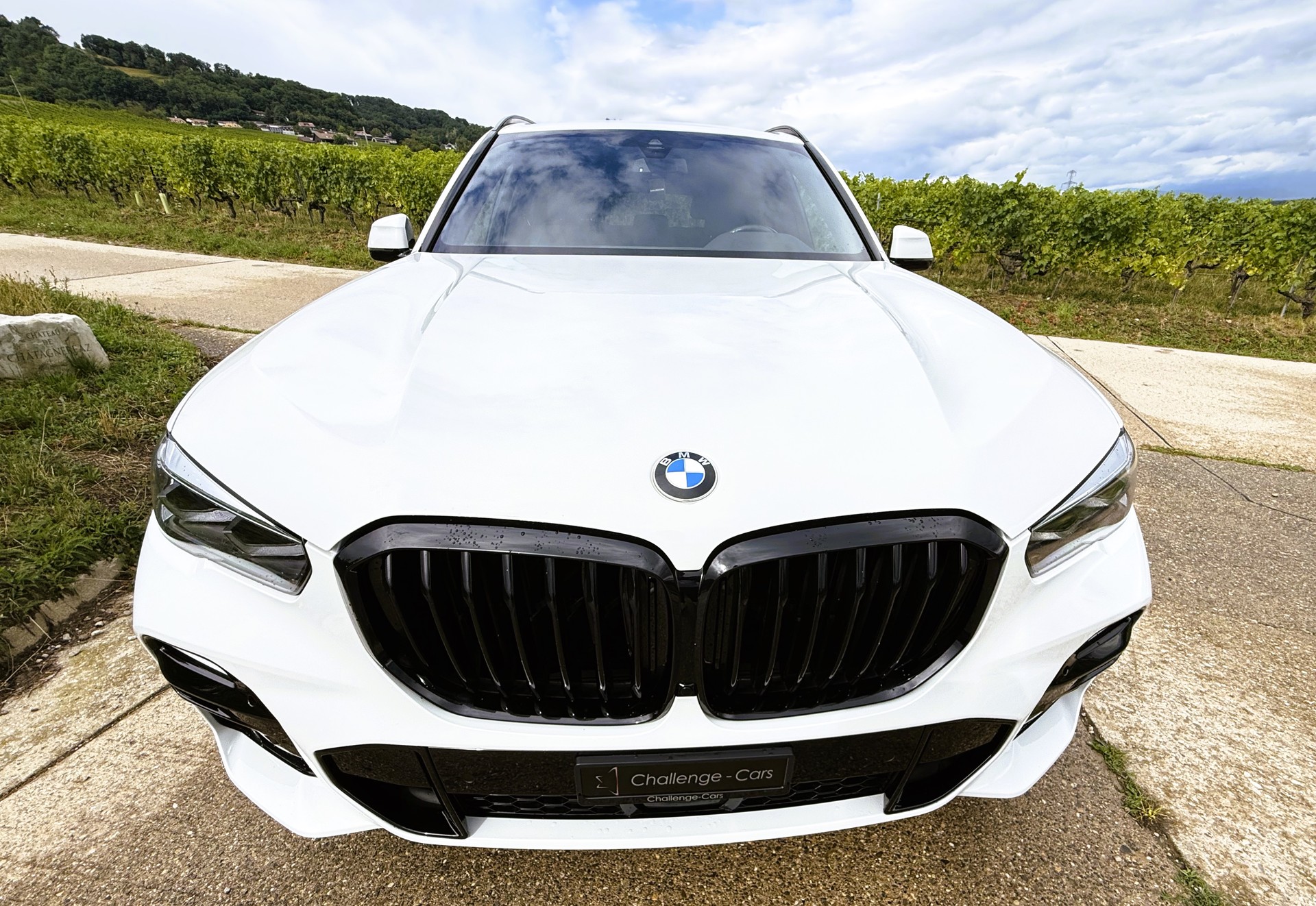 BMW X5 xDrive45e M Sport Steptronic-showroom-element-1