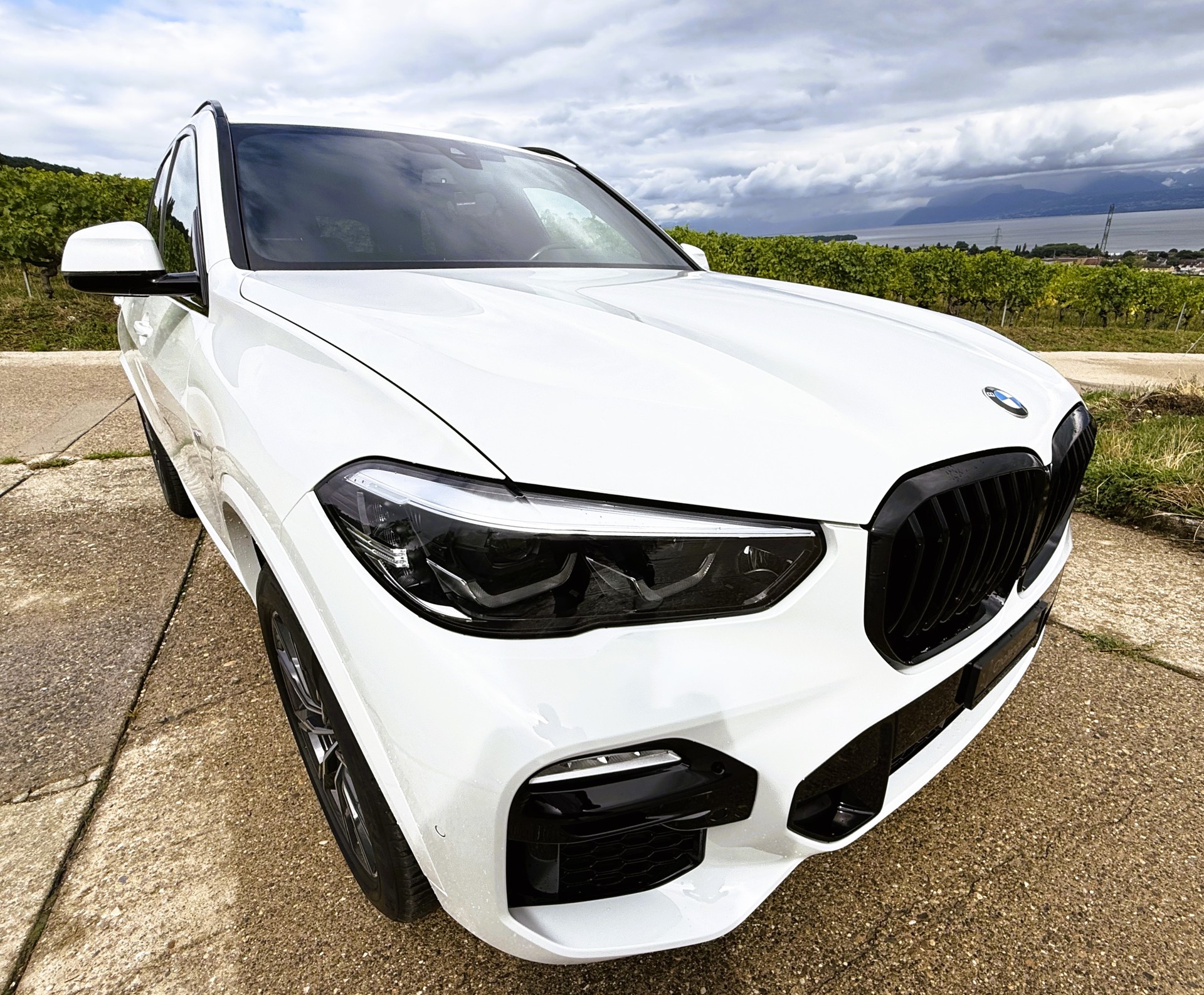BMW X5 xDrive45e M Sport Steptronic-showroom-element-3