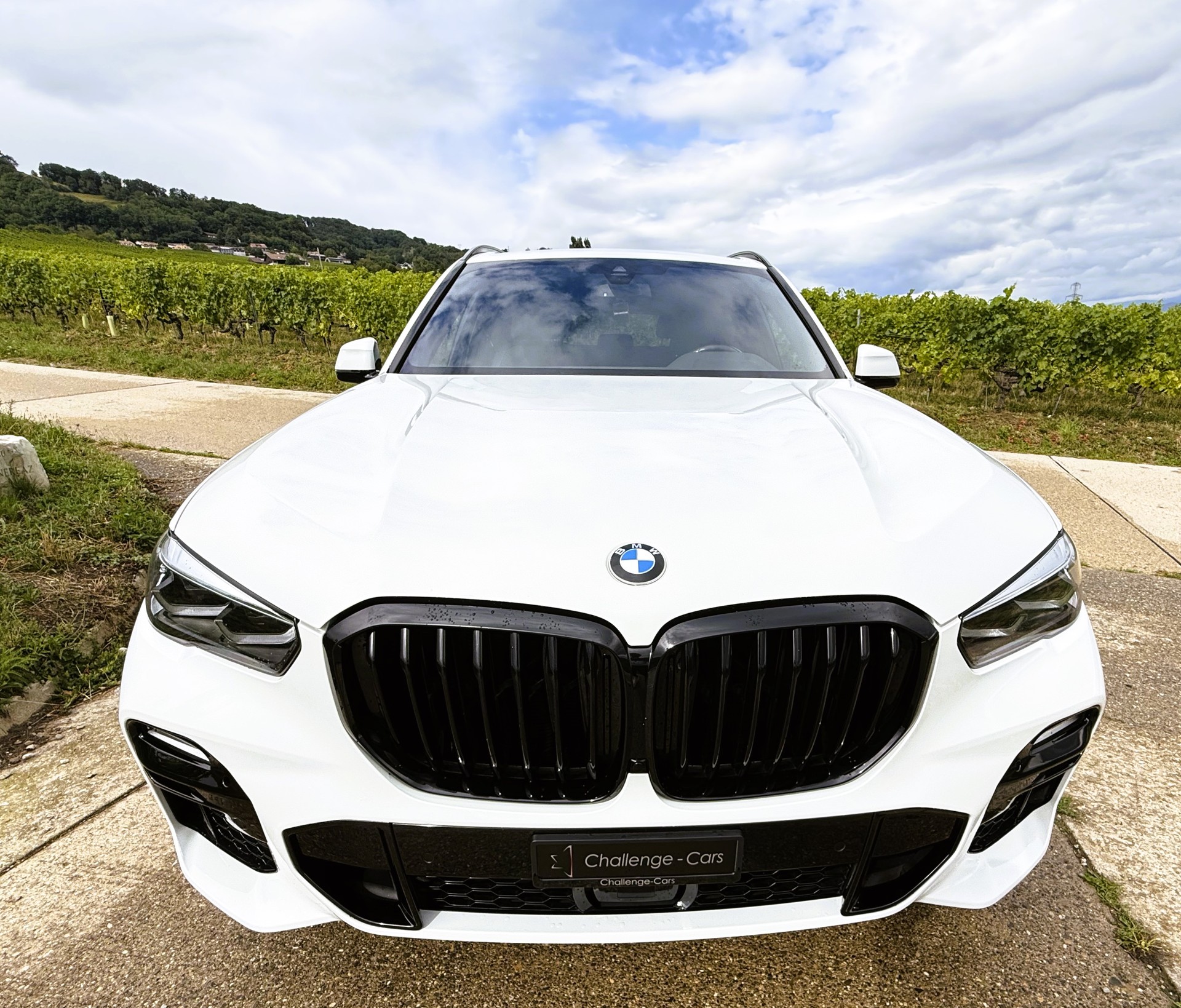 BMW X5 xDrive45e M Sport Steptronic-showroom-element-2