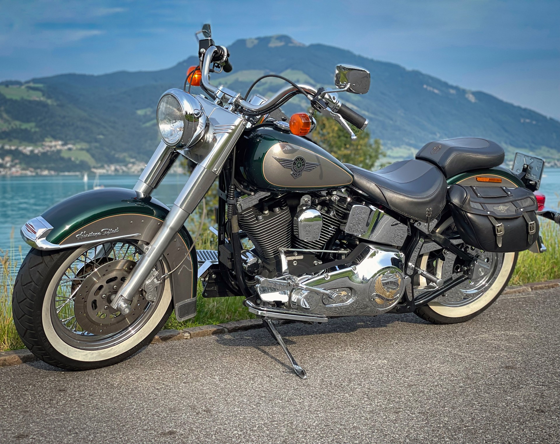 HARLEY-DAVIDSON FLSTN Heritage Special-image-1