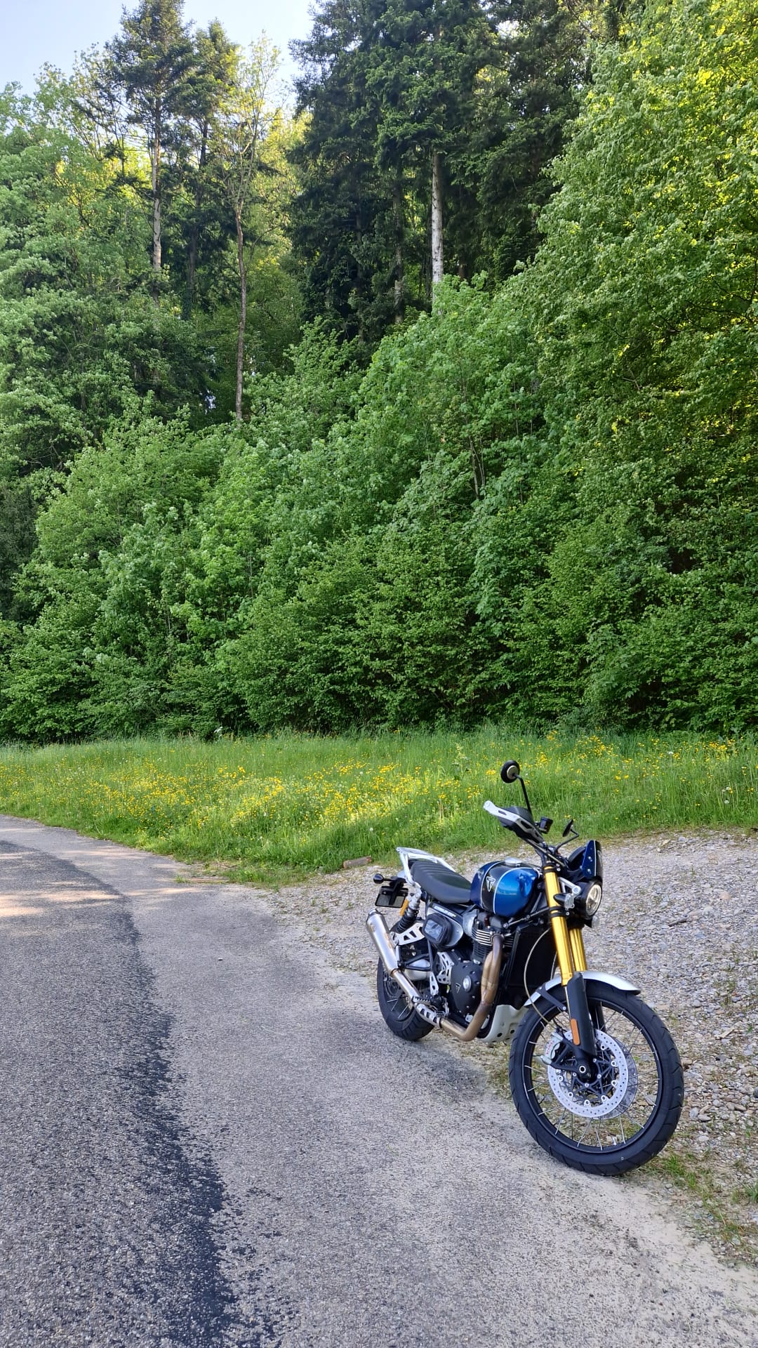 TRIUMPH Scrambler 1200 XE-image-3