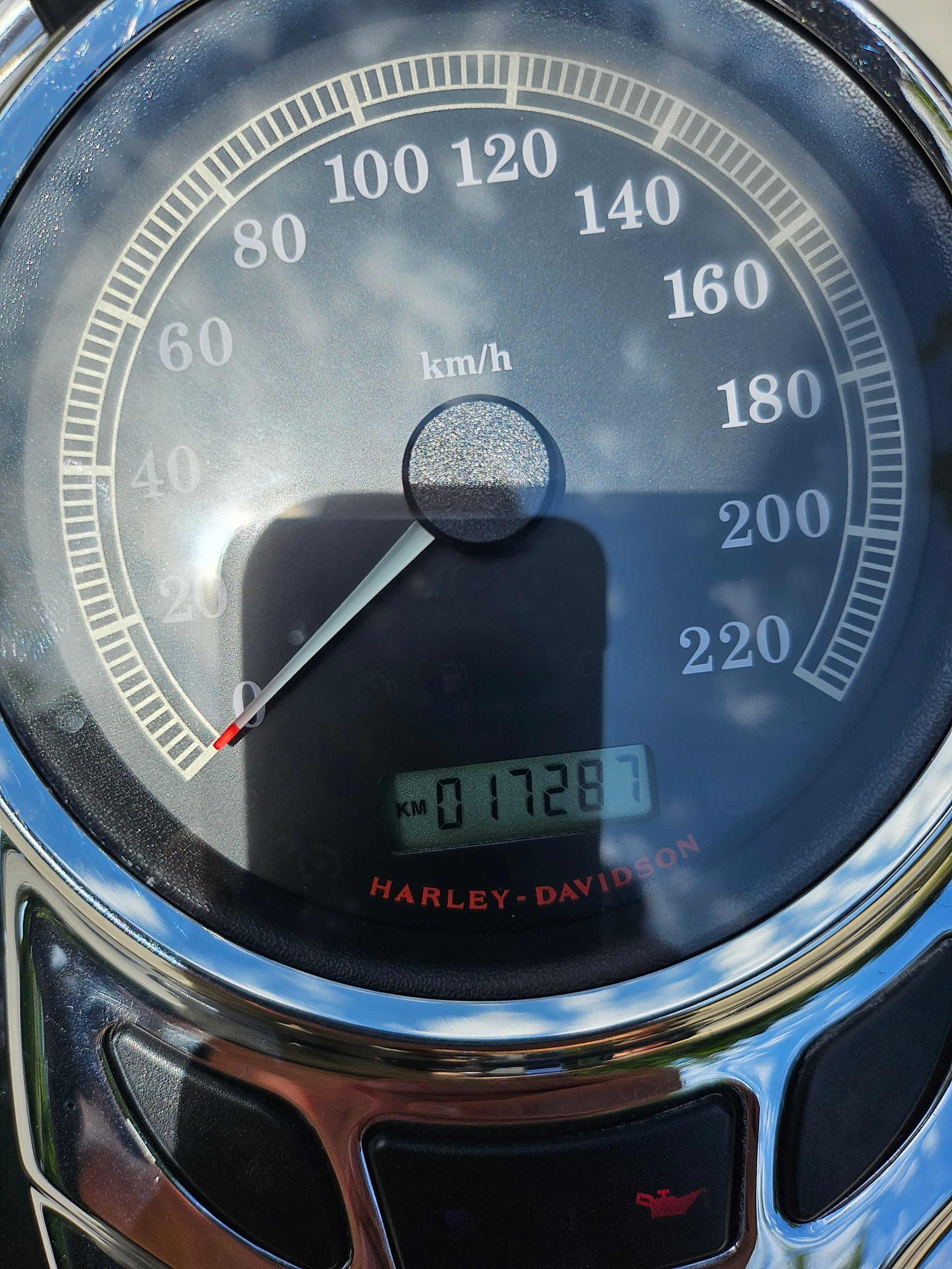 HARLEY-DAVIDSON FLSTCI Softail Classic-image-6