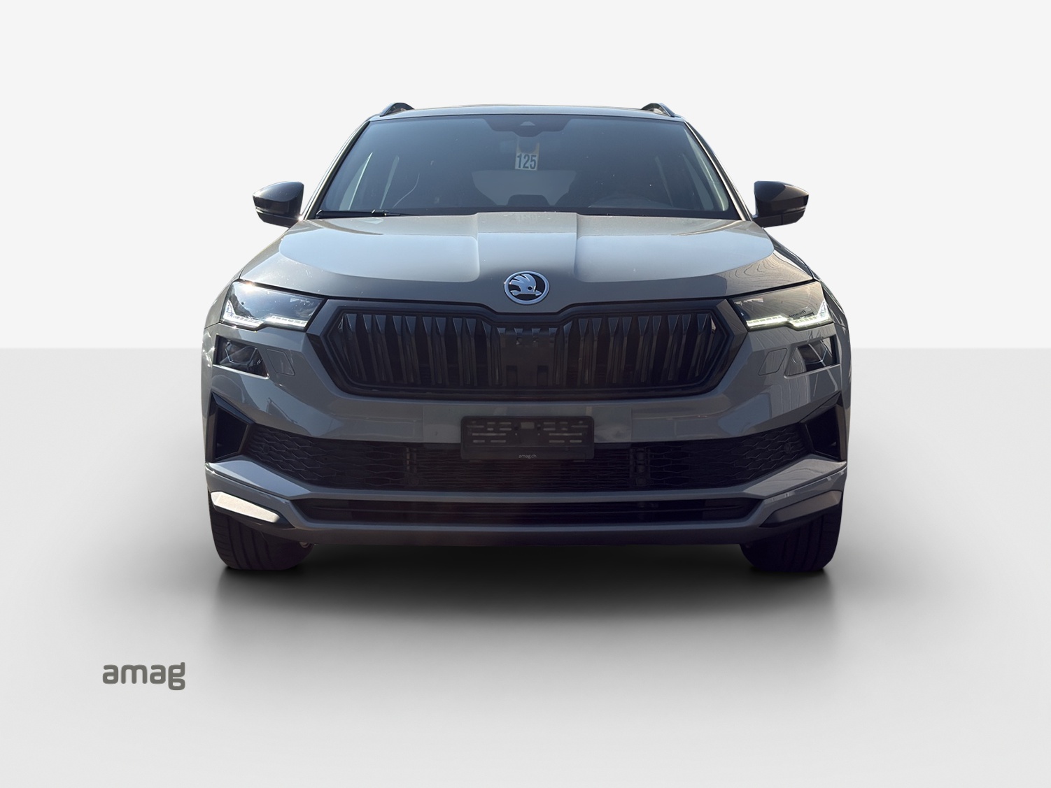 SKODA Karoq 1.5 TSI SportLine DSG-image-6