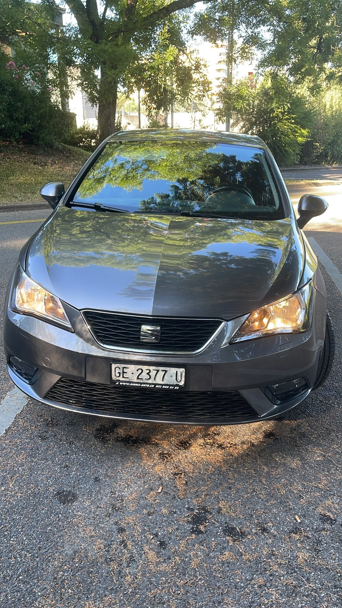SEAT Ibiza 1.2 TSI Style ITECH Stopp-Start-showroom-element-2