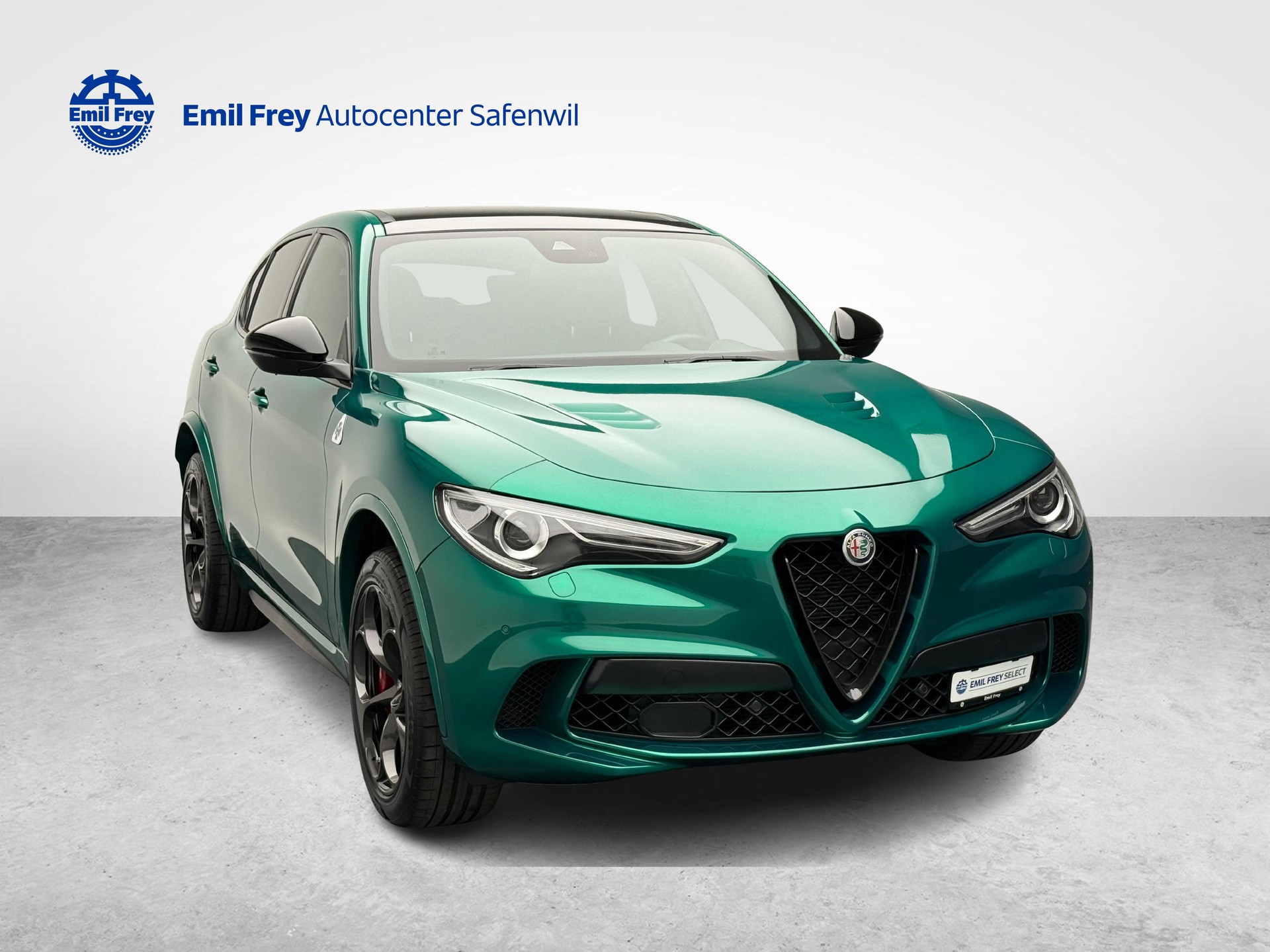 ALFA ROMEO Stelvio 2.9 V6 Biturbo Q4 Quadrifoglio-image-6