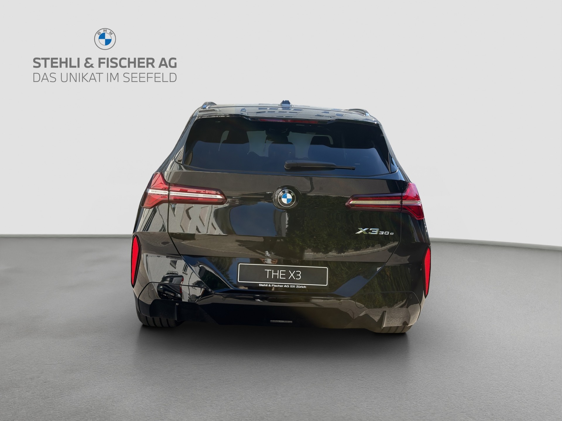 BMW X3 xDrive 30e M Sport-showroom-element-3