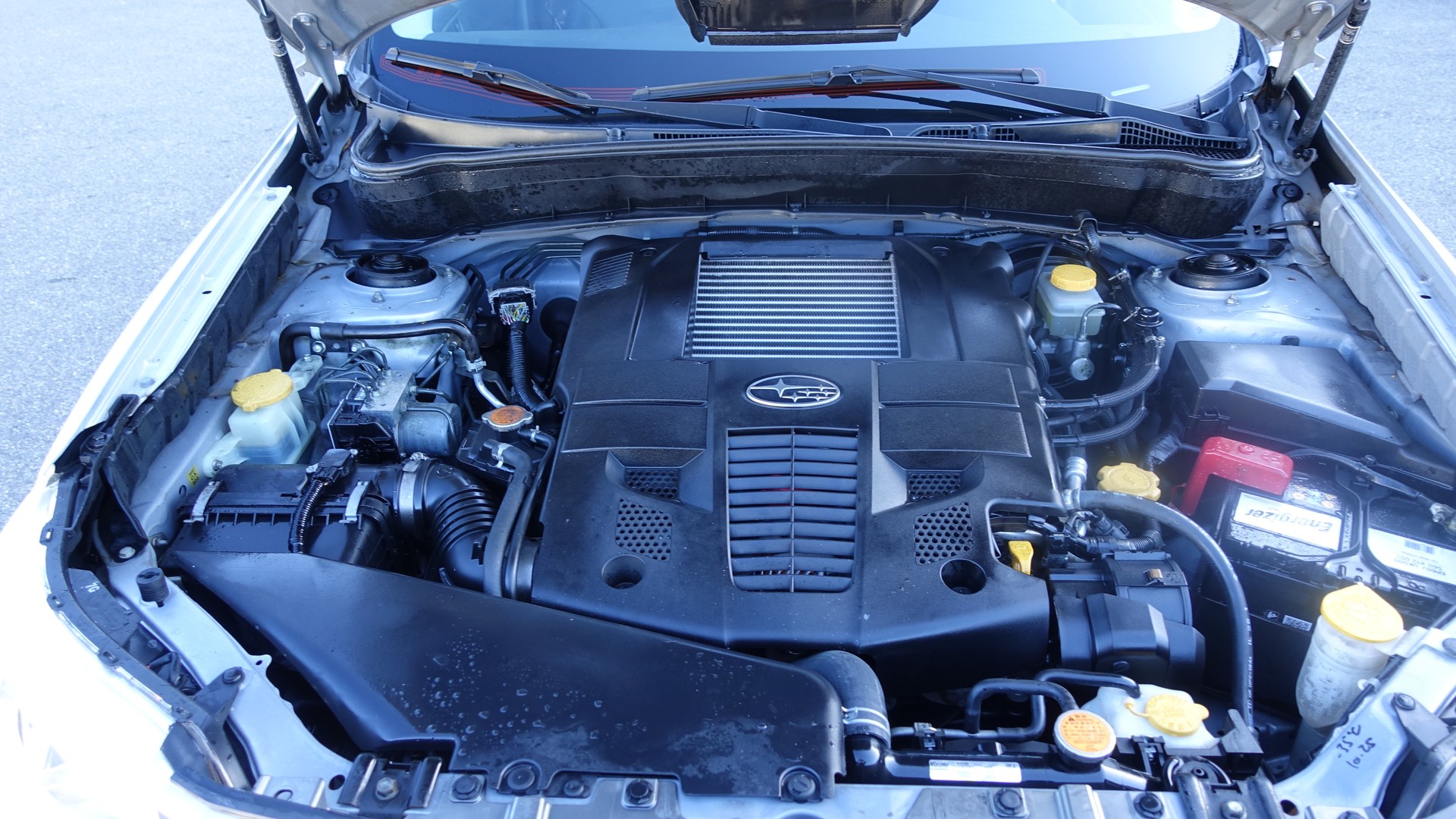SUBARU Forester 2.5XT Executive-image-15