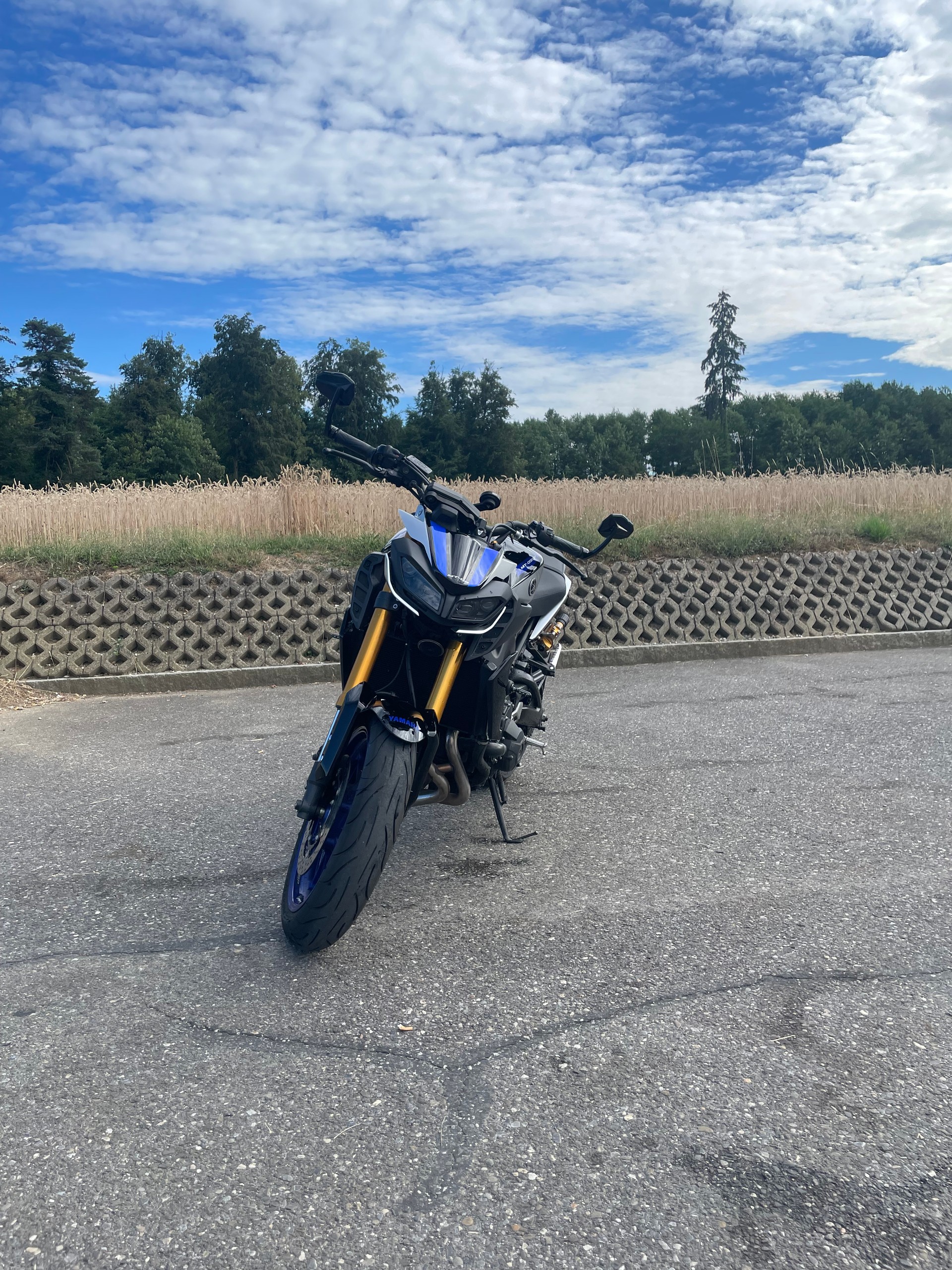 YAMAHA MT-09 SP ABS-image-2