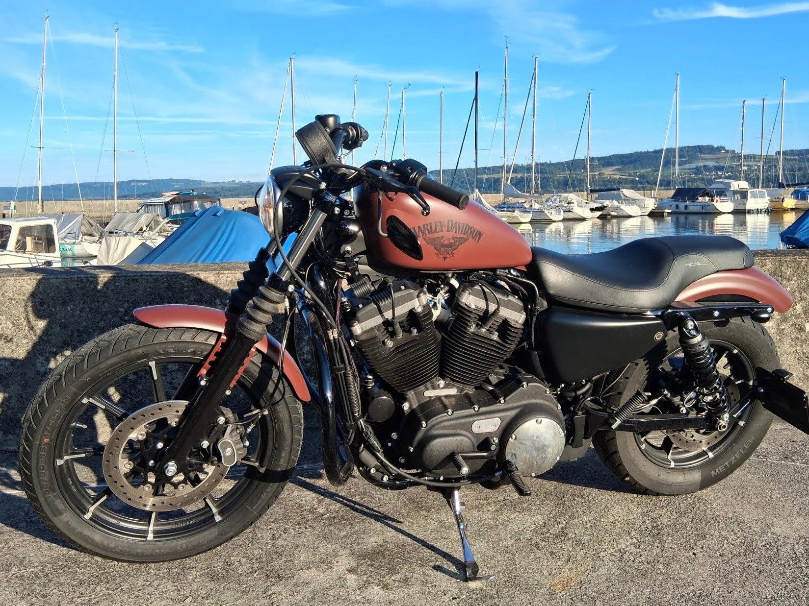 HARLEY-DAVIDSON XL 883 N Sportster Iron ABS-image-0