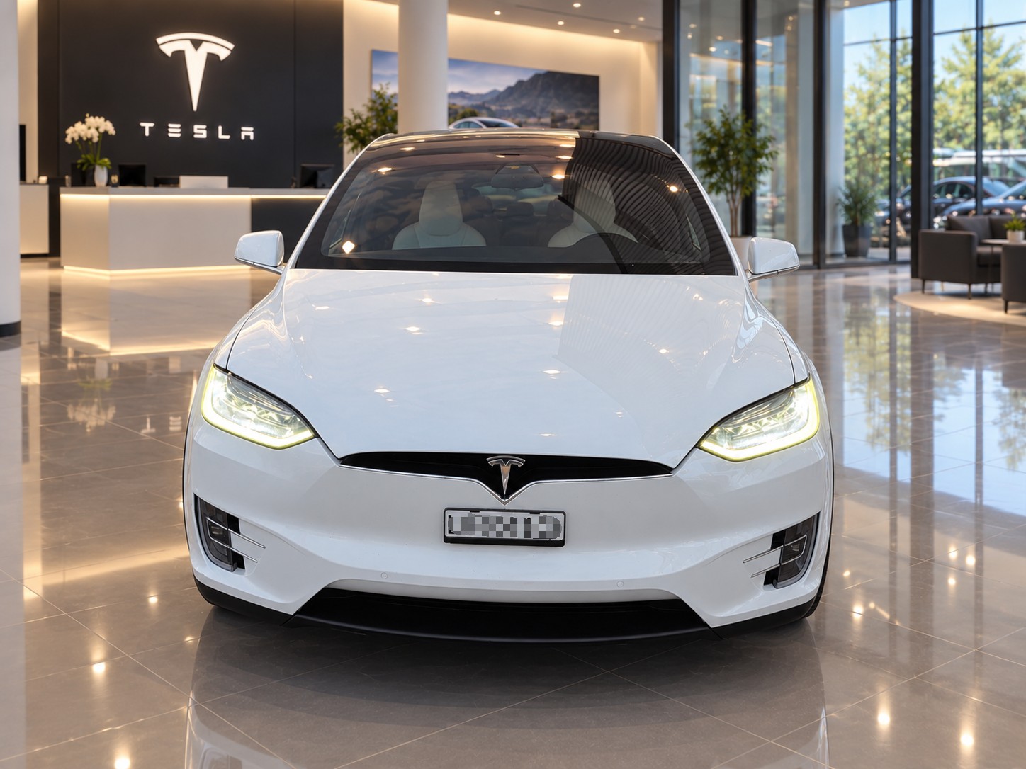 TESLA Model X 75 D-image-2