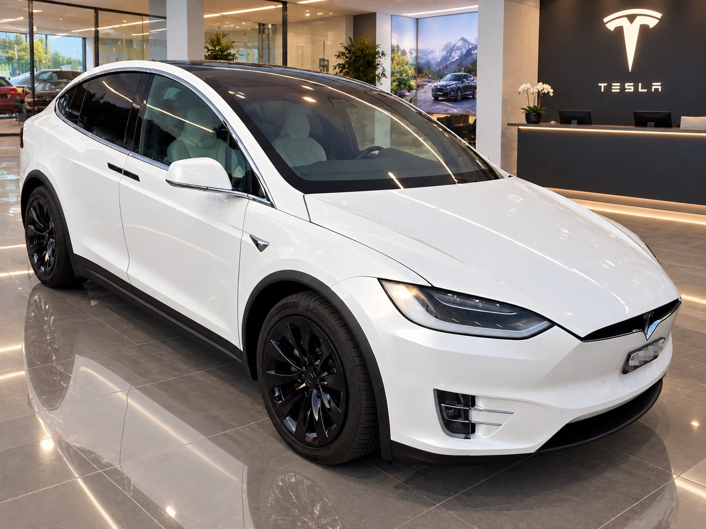 TESLA Model X 75 D