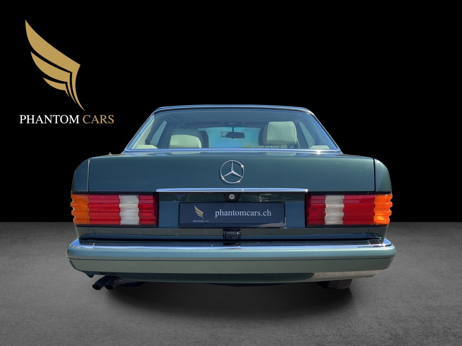 MERCEDES-BENZ 300 SE VETERAN-image-6