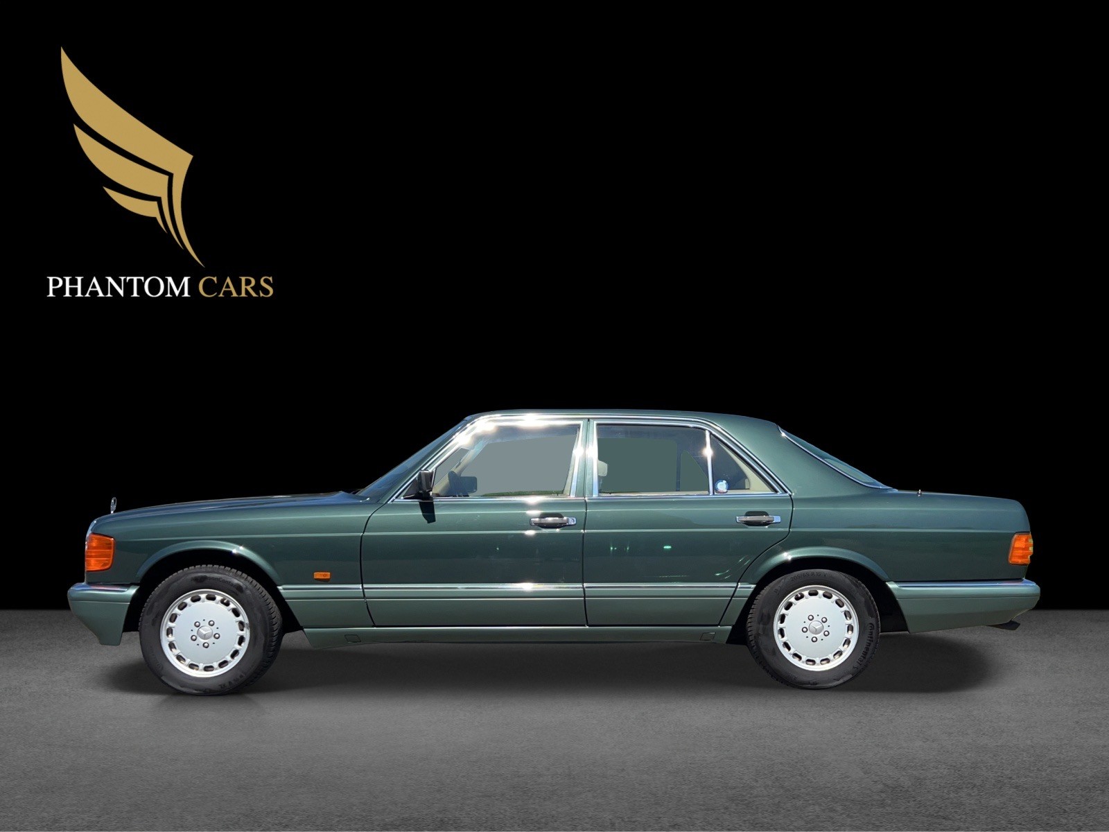MERCEDES-BENZ 300 SE VETERAN-image-4
