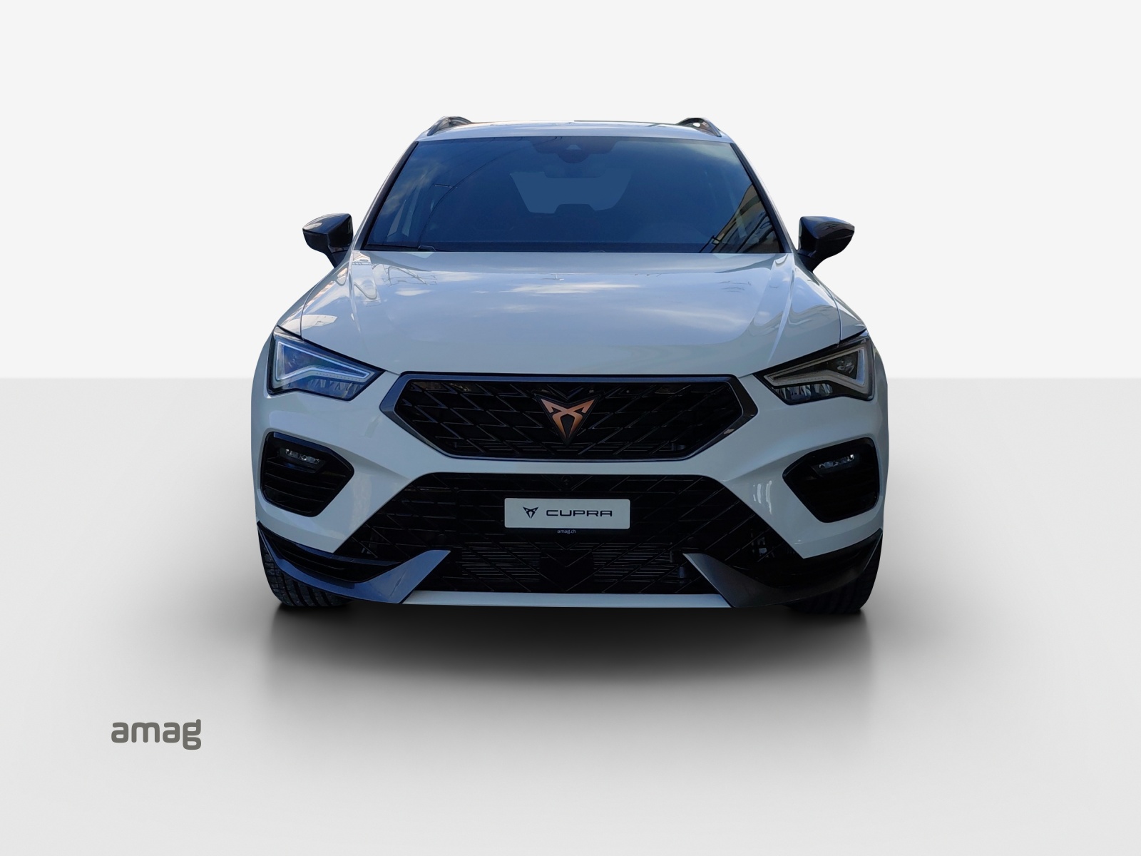 CUPRA CUPRA Ateca 2.0TSI 300PS 7-Gang DSG 4Drive-image-6
