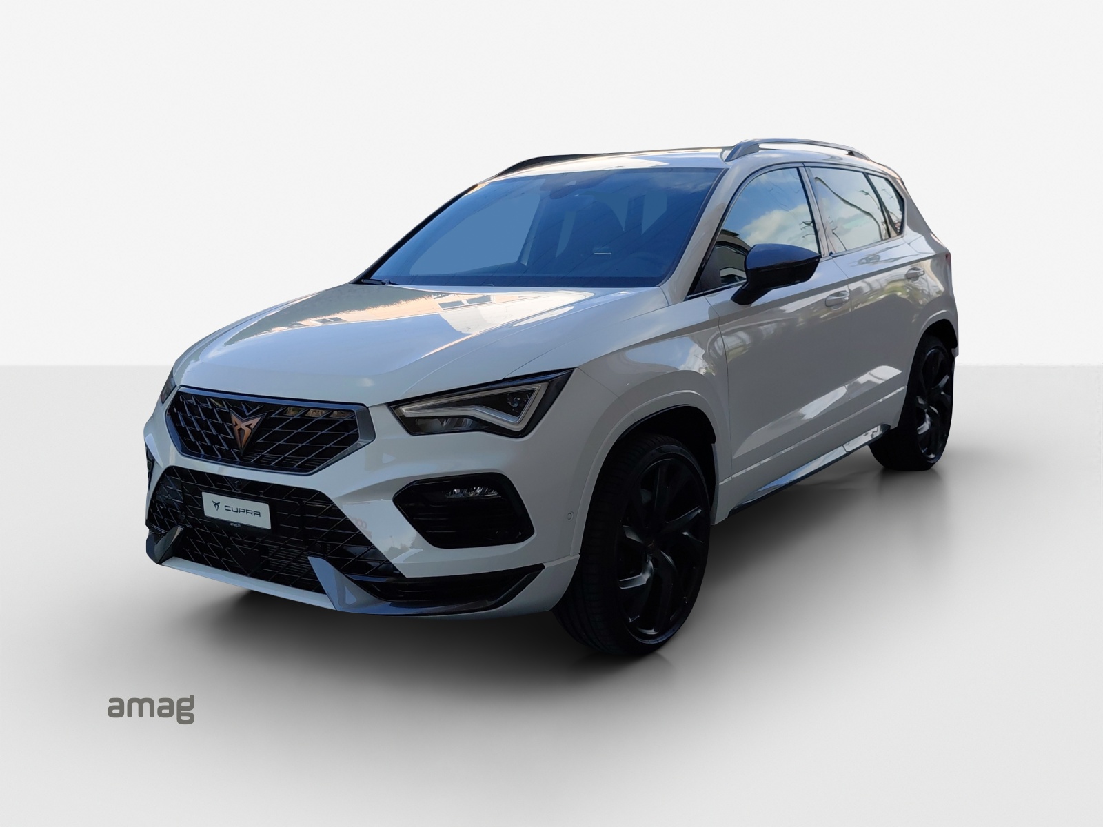 CUPRA CUPRA Ateca 2.0TSI 300PS 7-Gang DSG 4Drive