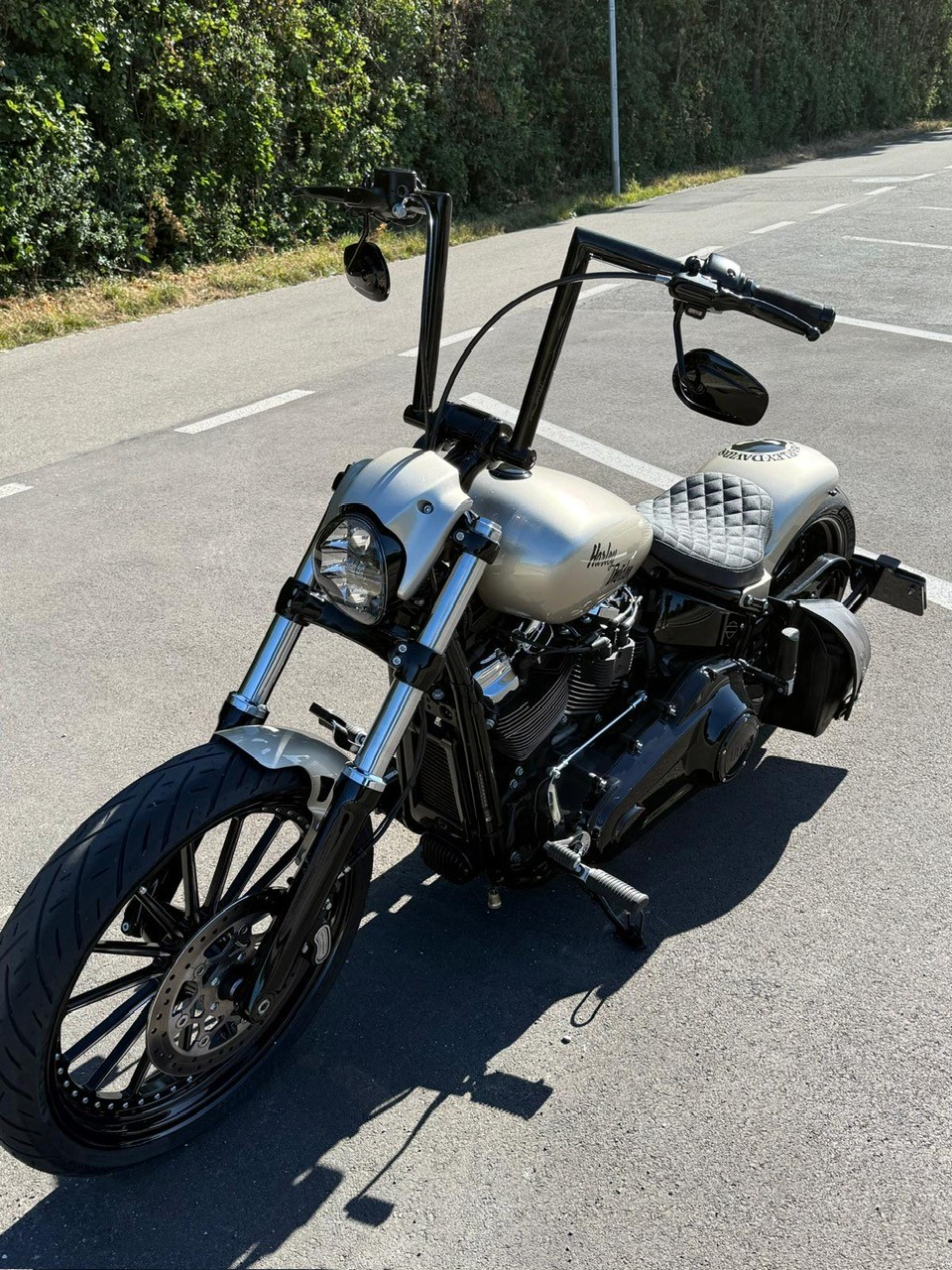 HARLEY-DAVIDSON FXBRS Breakout 114-image-1