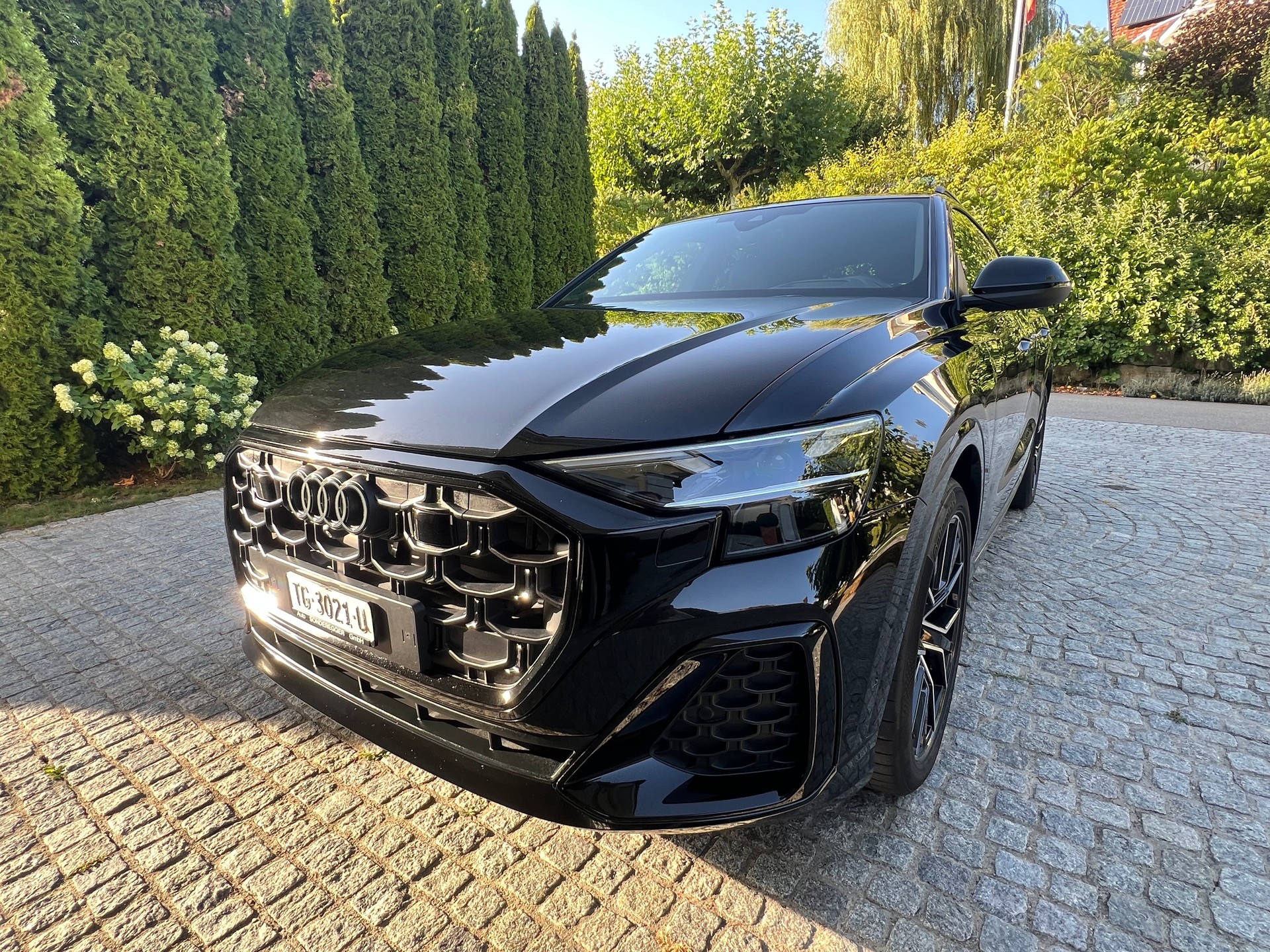 AUDI Q8 SUV 50 TDI quattro tiptronic-showroom-element-3