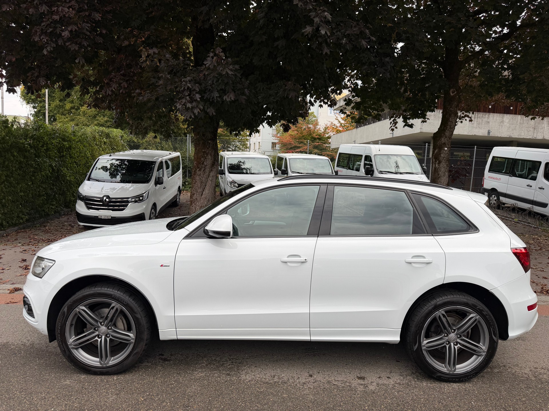 AUDI Q5 2.0 TDI quattro S-tronic-showroom-element-3