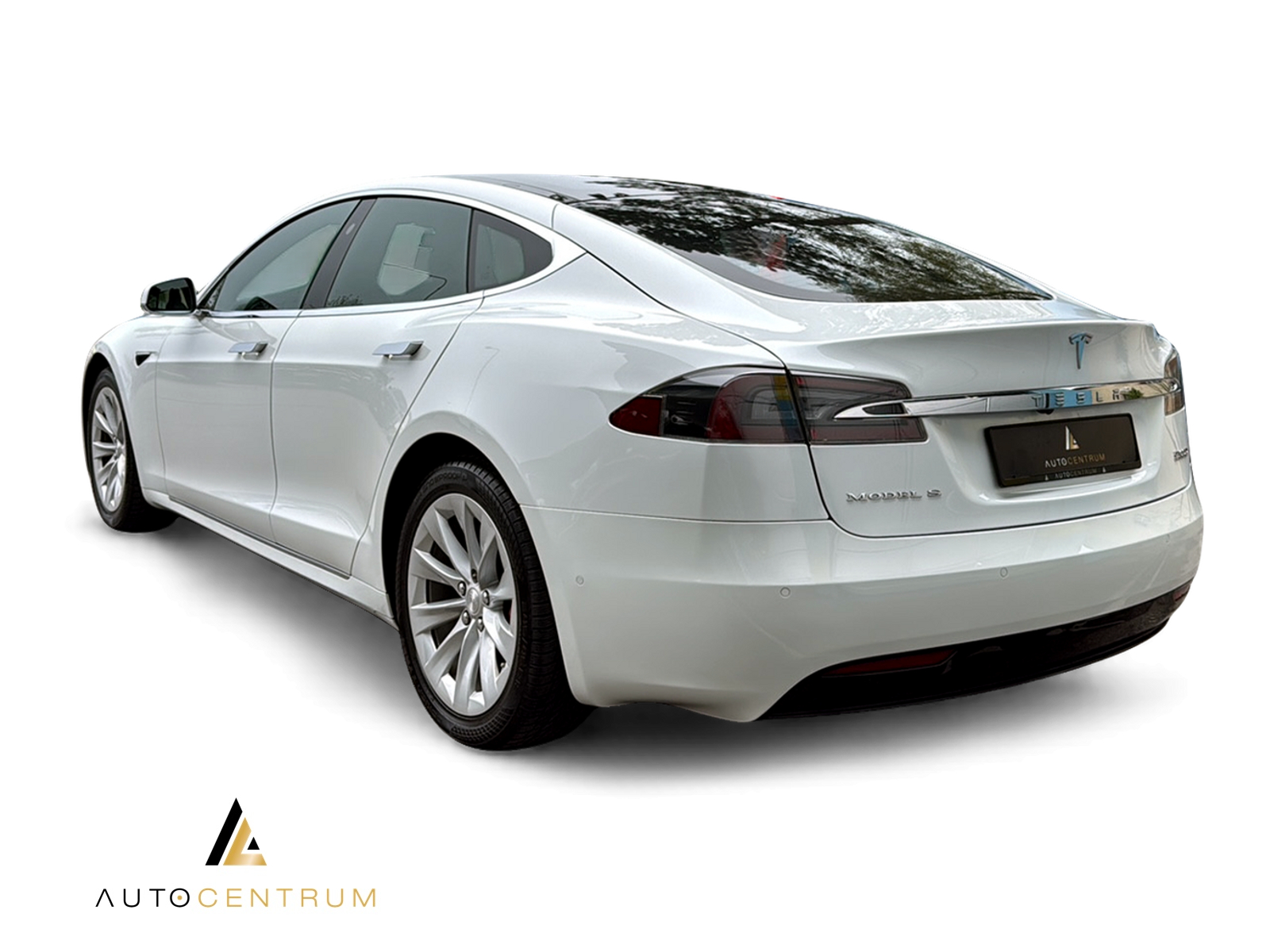 TESLA Model S 100 D Performance-image-4