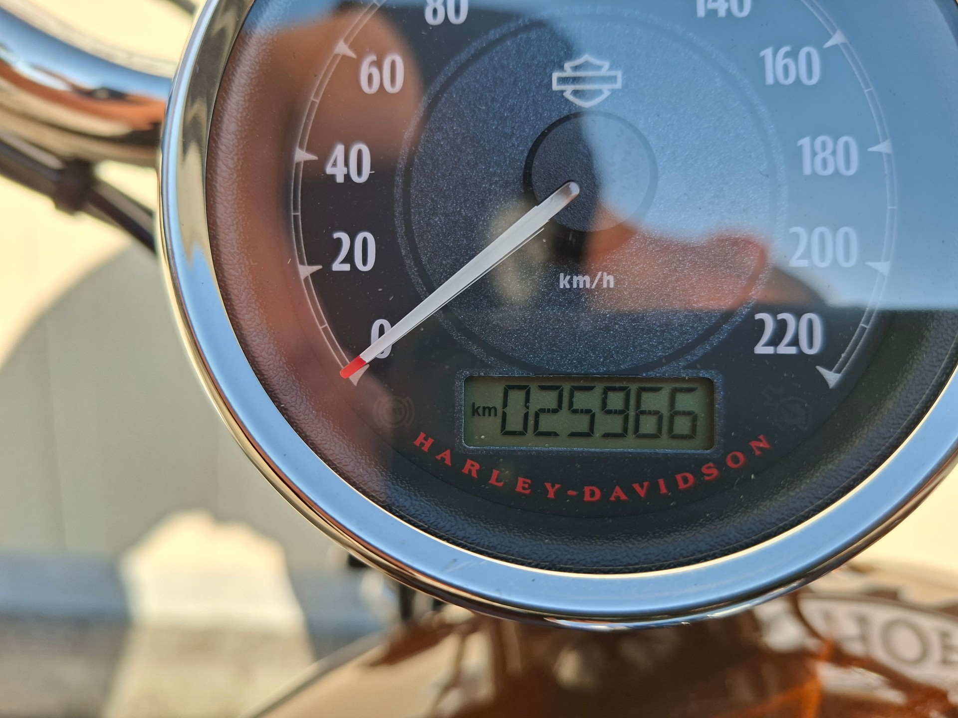 HARLEY-DAVIDSON XL 1200 C Sportster Custom ABS-image-5