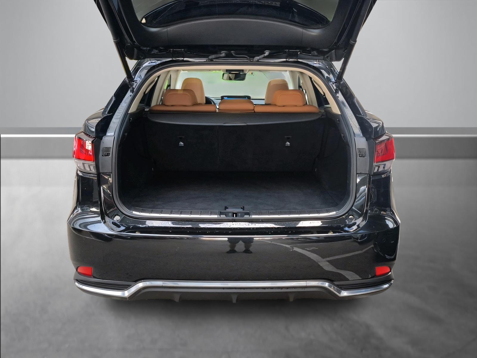 LEXUS RX 450h Excellence-image-11