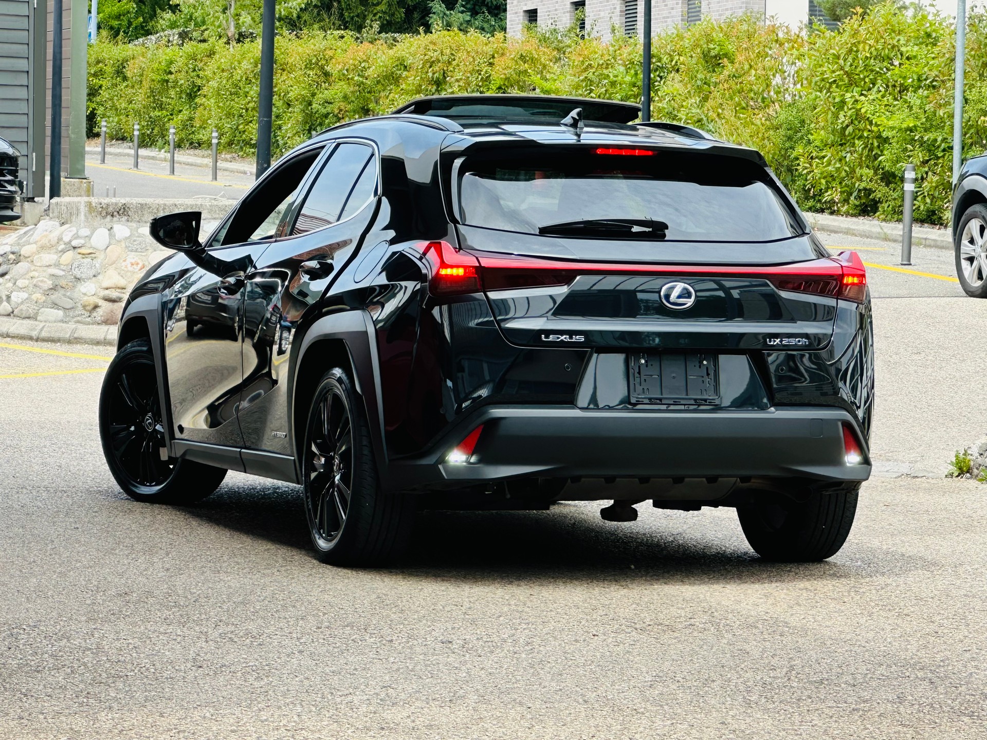 LEXUS UX 250h Excellence AWD Automatic-image-11