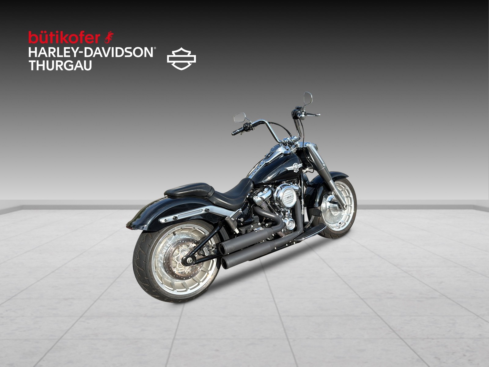 HARLEY-DAVIDSON FLFB Fat Boy 107 ABS-image-2
