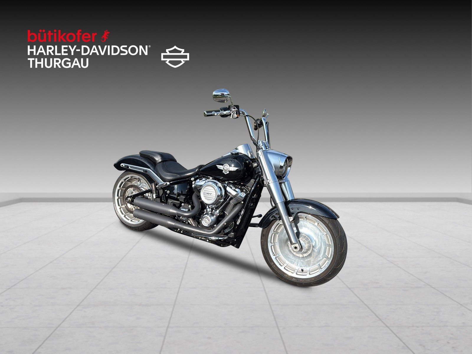 HARLEY-DAVIDSON FLFB Fat Boy 107 ABS-image-0