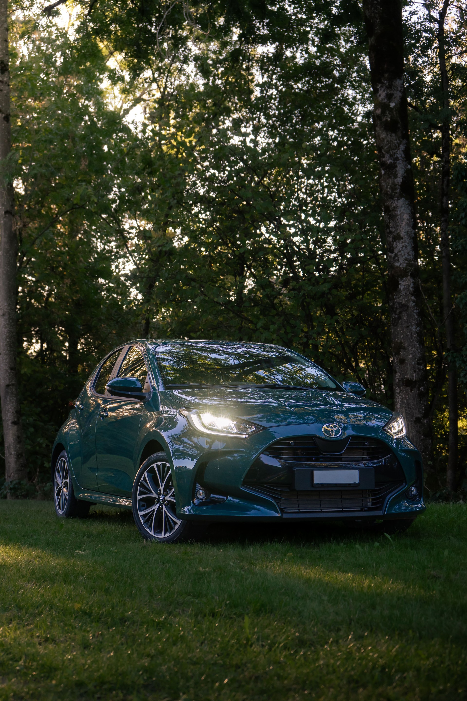 TOYOTA HSD Trend