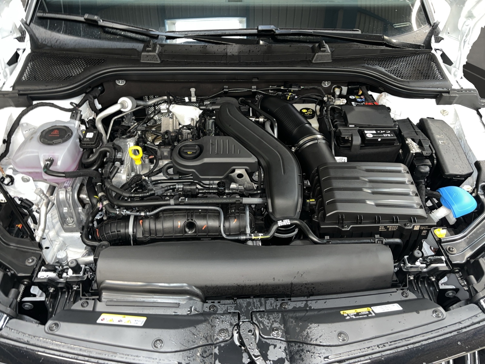 SKODA Kamiq 1.5 TSI Monte Carlo DSG-image-8